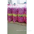 Garlic wholesale Hot sales